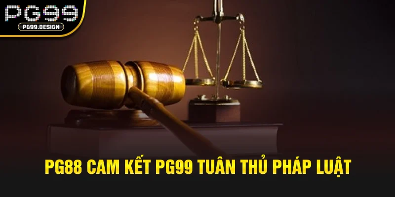 PG88 cam kết PG99 tuân thủ pháp luật