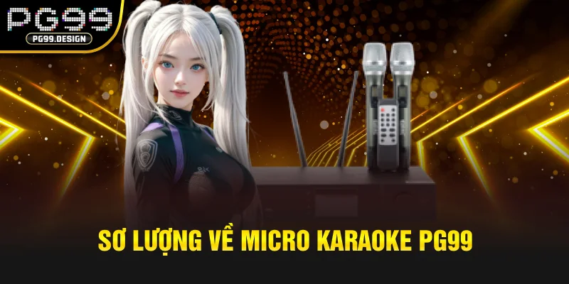 Sơ lược về Micro Karaoke PG99